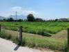 Terreno Agricolo in vendita a Pietrasanta in via del lago pietrasanta - 05, Foto 5