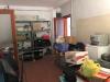 Attivit� commerciale in vendita a Massarosa in via sarzanese sud - 08, Foto 8