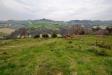Terreno Agricolo in vendita a Monteprandone in via borgo da monte - 02, Foto 2