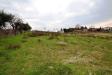 Terreno Agricolo in vendita a Monteprandone in via borgo da monte - 03, Foto 3