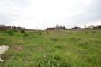 Terreno Agricolo in vendita a Monteprandone in via borgo da monte - 04, Foto 4