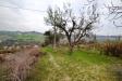 Terreno Agricolo in vendita a Monteprandone in via borgo da monte - 06, Foto 6