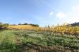 Terreno Agricolo in vendita a Ripatransone in contrada santimero - 07, Foto 8