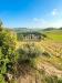 Casa indipendente in vendita a Offida in contrada san lazzaro - 04, Foto 4