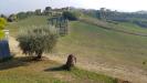 Rustico in vendita con giardino a Monsampolo del Tronto in contrada pagliare - 03, Foto 3