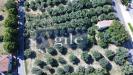 Casa indipendente in vendita con giardino a Corropoli in via dei celestini - 03, Foto 3