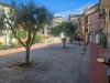 Appartamento in vendita a Ventimiglia - 03
