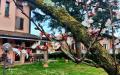 Villa in vendita con giardino a Fiorano Modenese in via don milani - 05, Foto 5
