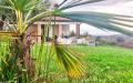 Villa in vendita con giardino a Serramazzoni in via pazzano - 06, Foto 6