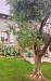 Villa in vendita con giardino a Serramazzoni in via pazzano - 08, Foto 8