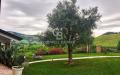 Villa in vendita con giardino a Serramazzoni in via pazzano - 09, Foto 9