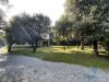 Villa in vendita con giardino a Forte dei Marmi - roma imperiale - 04