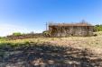Villa in vendita con giardino a Monteverdi Marittimo - gualda - 05