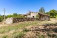 Villa in vendita con giardino a Monteverdi Marittimo - gualda - 06