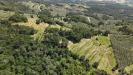 Terreno Agricolo in vendita a Vinci - vitolini - 02