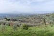 Terreno Agricolo in vendita a Vinci - vitolini - 03