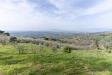 Terreno Agricolo in vendita a Vinci - vitolini - 05