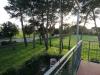 Appartamento bilocale in vendita con giardino a Bibbona - marina di - 04