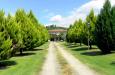 Villa in vendita con giardino a Villafranca in Lunigiana - mocrone - 05