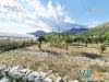 Terreno Agricolo in vendita a Fondi in via ponte gagliardo - 04, Foto 6