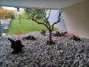 Appartamento bilocale in vendita con giardino a Busto Arsizio - 04, 20260924_113549.jpg