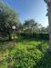 Casa indipendente in vendita con giardino a Capannori - centro - 05