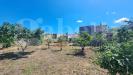 Casa indipendente in vendita con giardino a Oristano - 05, 20250509_113100.jpg