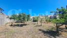 Casa indipendente in vendita con giardino a Oristano - 06, 20250509_113120.jpg