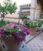 Casa indipendente in vendita a San Vero Milis - 08, PHOTO-2025-06-03-11-45-14.jpg