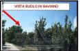 Terreno in vendita a Saviano - 02
