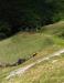 Terreno Agricolo in vendita a Adrara San Martino - 04, Foto 4