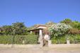 Villa in vendita a Muravera - 03, _DSC2315.JPG