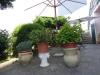 Casa indipendente in vendita con giardino a San Giuliano Terme - arena metato - 02