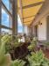 Appartamento in vendita con terrazzo a Livorno - scali olandesi - 04