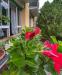 Appartamento in vendita a Livorno - colline - 03