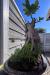 Casa indipendente in vendita con terrazzo a Livorno - ardenza mare - 06
