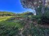 Villa in vendita con giardino a Livorno - antignano - 03
