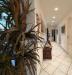 Appartamento in vendita con giardino a Livorno - ospedale - 05
