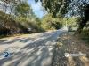 Terreno Agricolo in vendita a Villanova d'Albenga in via bono e martino - 04, Foto 4