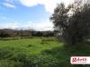 Terreno Edificabile in vendita a Gradara - 03, vista panoramica.jpg