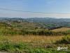 Terreno Agricolo in vendita a Gradara - 03, lotto agricolo Gradara-3.jpg