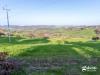 Terreno Agricolo in vendita a Gradara - 06, lotto agricolo Gradara-7.jpg