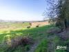 Terreno Agricolo in vendita a Gradara - 09, lotto agricolo Gradara-10.jpg
