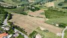 Terreno Agricolo in vendita a Gradara - 03, LOGATE-006.jpg