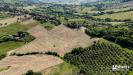 Terreno Agricolo in vendita a Gradara - 05, LOGATE-015.jpg