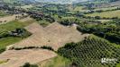 Terreno Agricolo in vendita a Gradara - 05, LOGATE-015.jpg