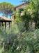 Villa in vendita con giardino a Narni - 06, WhatsApp Image 2023-07-10 at 12.34.56 (1).jpeg