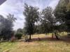 Villa in vendita a Narni - 10, IMG-20250201-WA0064.jpg