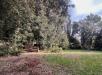 Villa in vendita a Narni - 09, IMG-20250201-WA0006.jpg