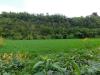 Terreno Agricolo in vendita a Valmontone in via s. barnaba snc - 03, Foto 3